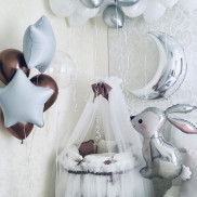 Шары на выписку